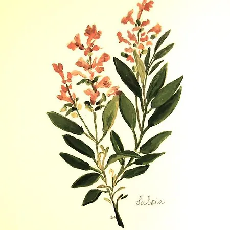 Il Guiscardo Salerno