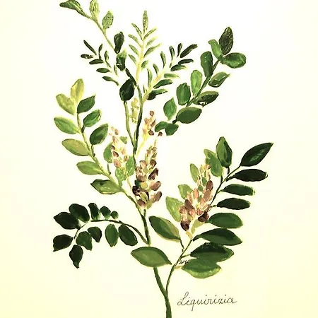 Il Guiscardo Bed & Breakfast