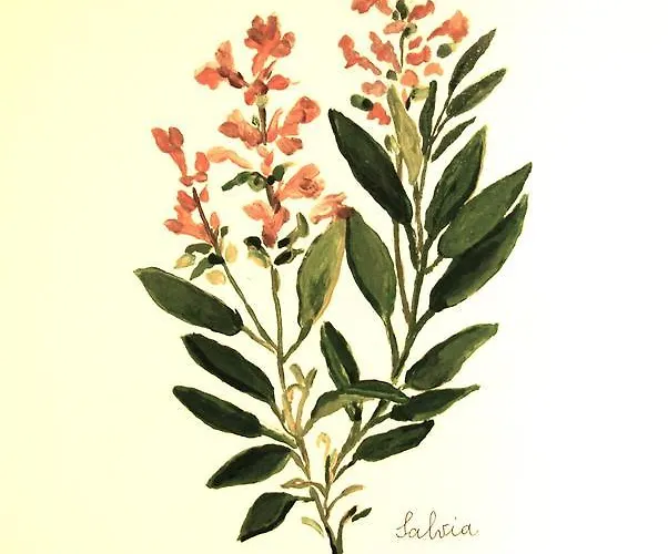 Il Guiscardo Salerno