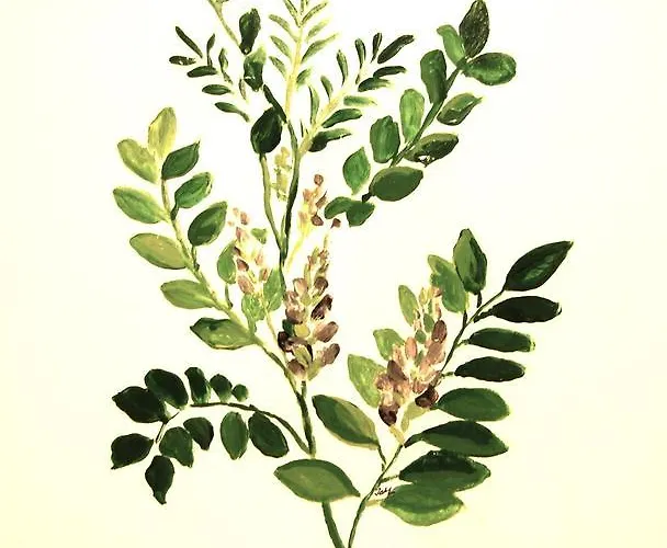 Il Guiscardo Bed & Breakfast